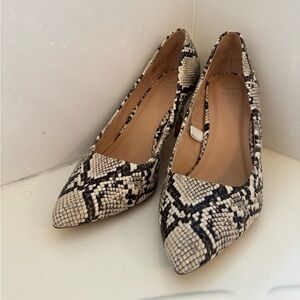 a new day Black and Cream Snakeskin Heels